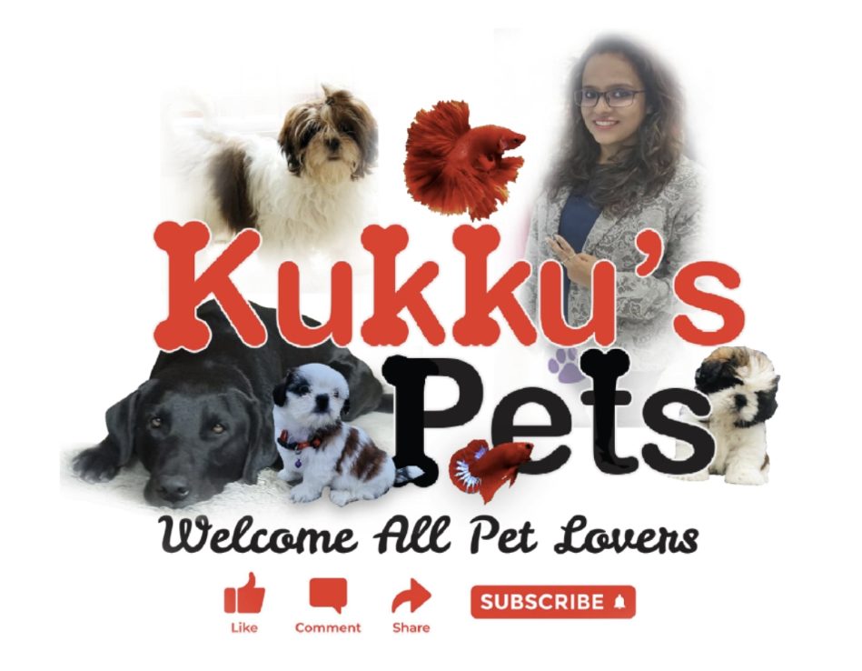 Kukkus Pets