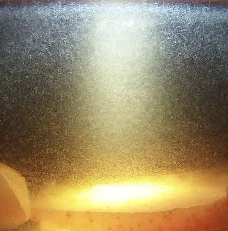 Vinegar eels culture available in Bangalore at Kukkus Pets